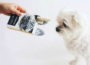 寵物食品包裝設計欣賞 藝術與功能的完美融合