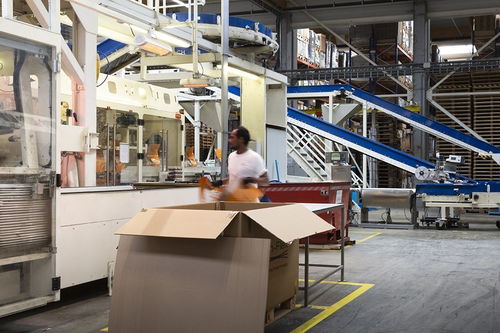 森西 源自自然，守護健康——一段關于寵物食品的溫情故事