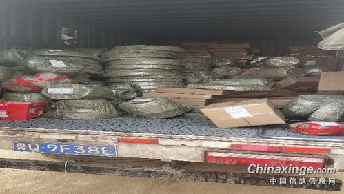 福來翔鴿具寵物用品生產廠 匠心獨具，專注寵物食品新篇章