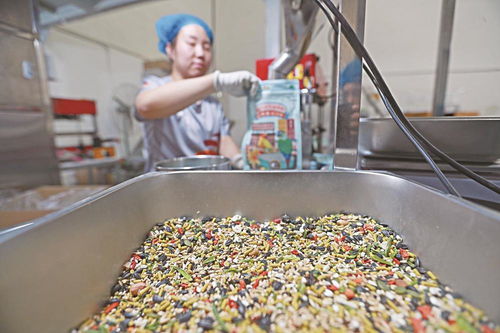 寵物食品行業迎熱潮 生產線日夜兼程背后的市場驅動力